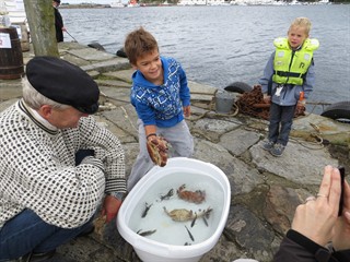 Holde ei skryda